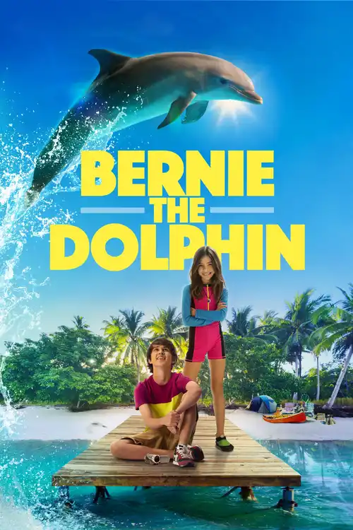 bernie the dolphin 2018