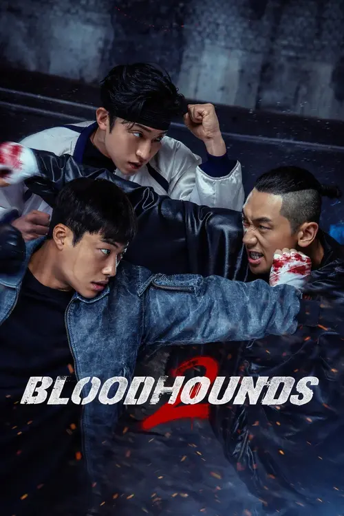 Download Bloodhounds (Season 1 β 2) Multi Audio {Hindi English Korean} NetFlix Series 480p | 720p | 1080p WEB DL 10 bloodhounds season 1