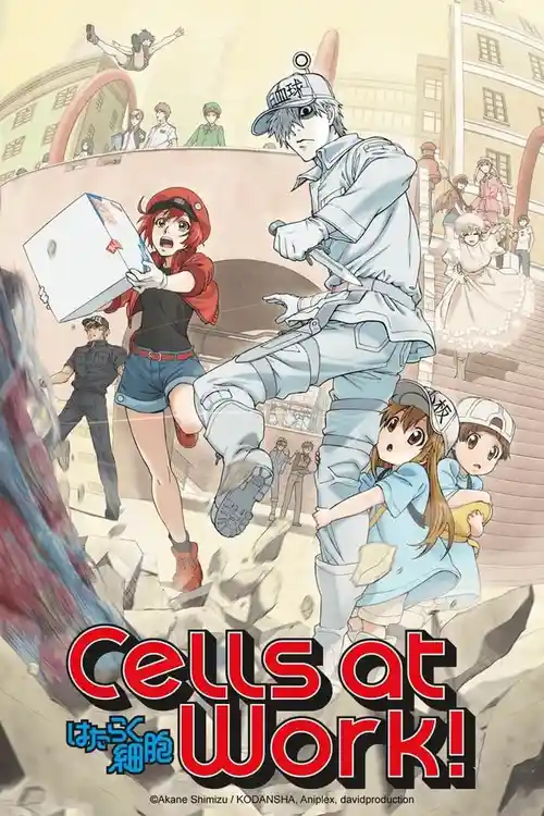 Download Cells at Work! (Season 1) Multi Audio {Hindi English Japanese} Anime Series 480p 720p & 1080p Blu Ray 21 cells at work season 1