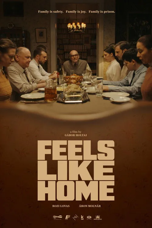 Download Feels Like Home (Season 1 – 2) Hindi Lionsgate Play Complete WEB Series 480p | 720p HDRip 24 feels like home season 1