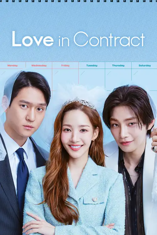 Download Love in Contract (Season 1) Dual Audio {Hindi Korean} K Drama Series 480p 720p & 1080p WEB DL 3 love in contract season 1