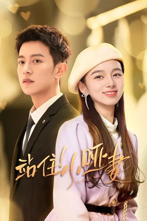 Download My Lovely Wife (Season 1) Hindi ORG Dubbed C Drama Series 480p 720p & 1080p WEB DL 6 my lovely wife season 1