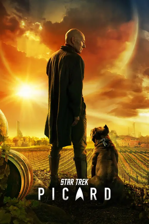 Download Netflix Star Trek: Picard (2020) Season 1 Hindi {All Episodes} 480p & 720p 14 netflix star trek picard 2020