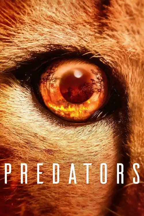 Download Predators β Netflix Original (2023) Season 1 Complete Dual Audio {Hindi English} 720P | 1080P WEB DL 4 predators netflix original 2023
