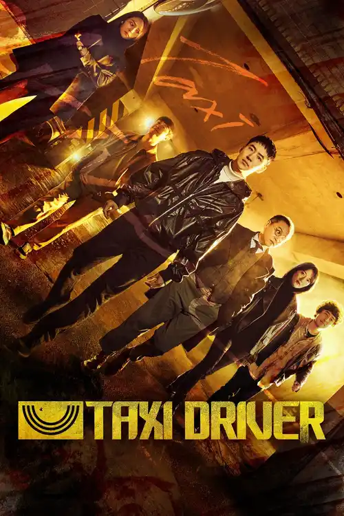 Download Taxi Driver (Season 1) Dual Audio {Hindi-Korean} K-Drama Series 480P 720P & 1080P Web-Dl 3 taxi driver season 1